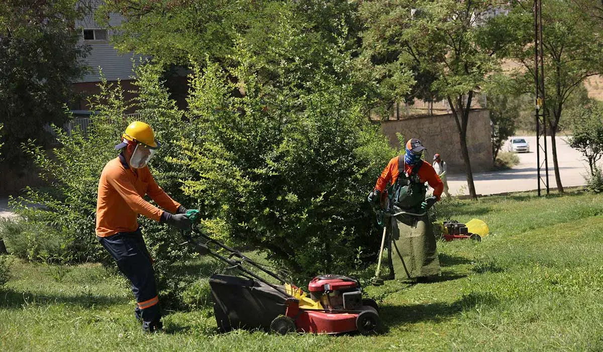 Professional Tools and Technical Equipment Supply Project