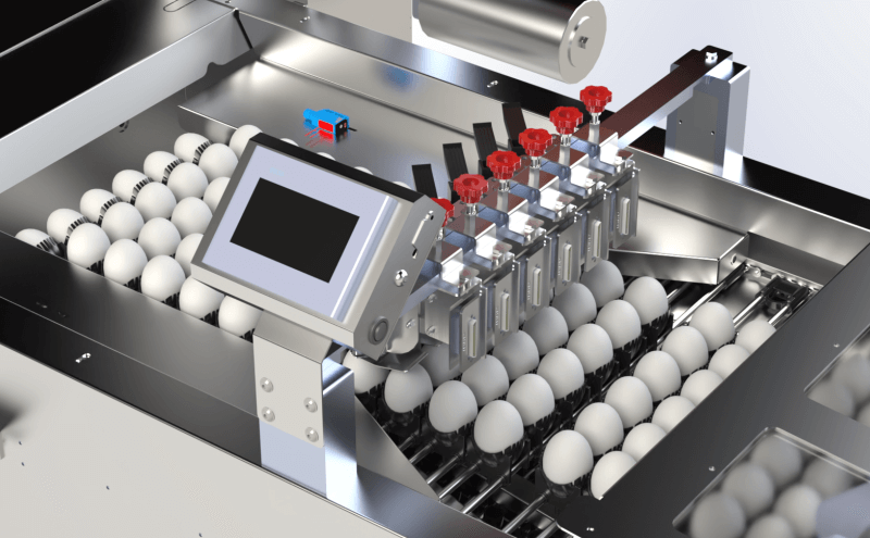 Fully Automatic Egg Shrink Packaging Machine Procurement Project