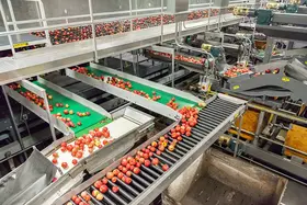 Sistemas de instalaciones de producción industrial de alimentos - Línea de producción e instalaciones - 001