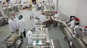 Sistemas de instalaciones de producción industrial de alimentos - Línea de producción e instalaciones - 001