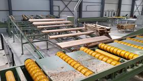 Conveyor Systems - Woodworking Machinery - KONVEYRSIS