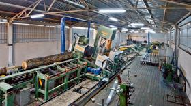 Inclined Log Carriage Saw