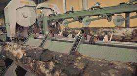 Twin Band Saws