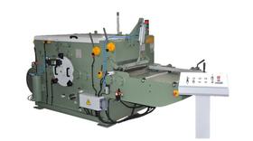 Roller Multi-Rip Saws